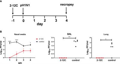 A direct contact pig influenza challenge model for assessing protective efficacy of monoclonal antibodies